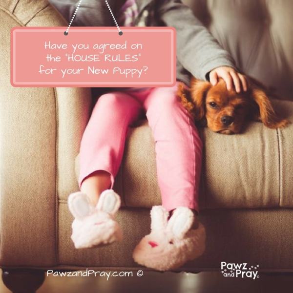 puppy house rules